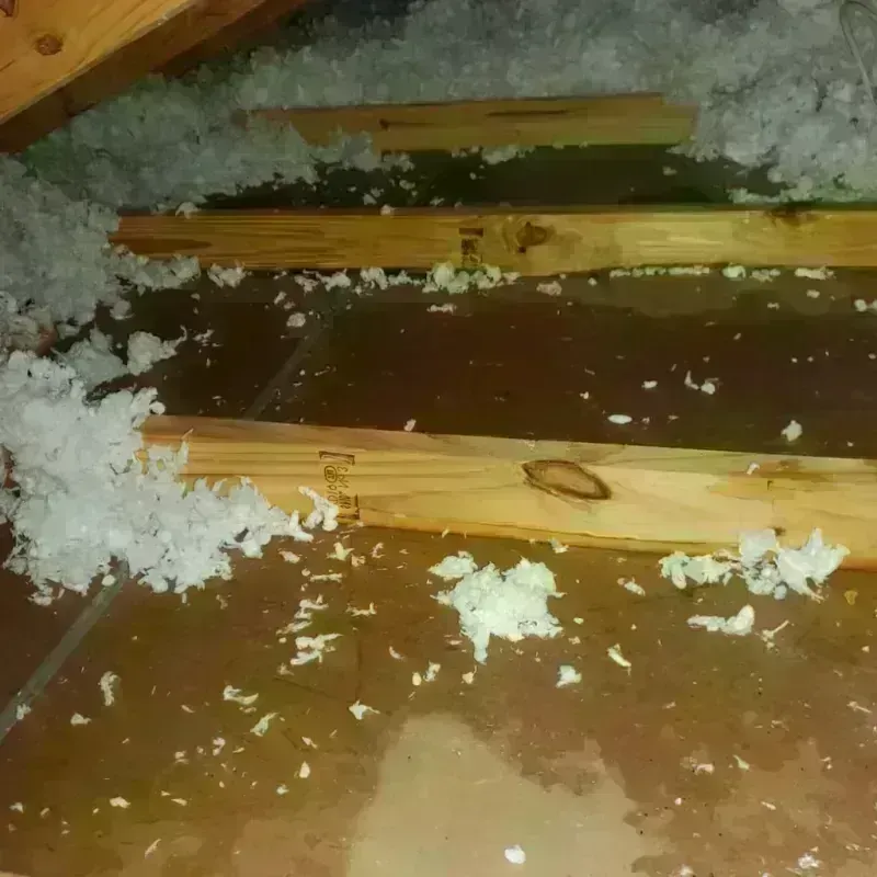 Attic Water Damage in Clinch County, GA