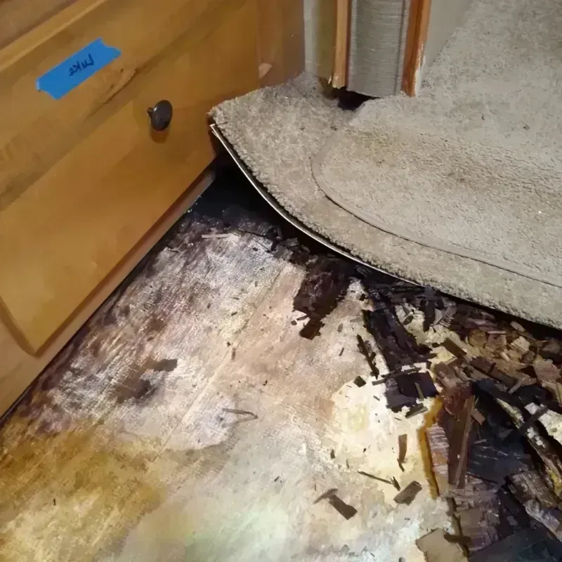 Best Wood Floor Water Damage Service in Clinch County, GA